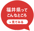 福井県ってこんなところ 見てみる