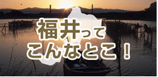 福井ってこんなとこ!
